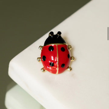 Broche mini coccinelle